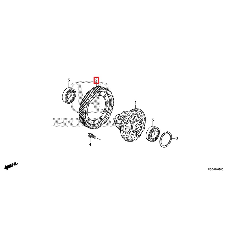 Honda OEM Final Driven Gear | 2016-2021 Honda Civic 1.5T non-Si (41233-5GT-000)