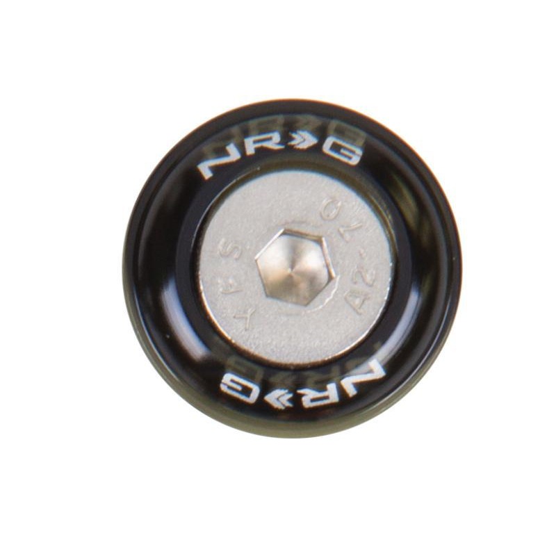 NRG Fender Washer Kit w/Rivets For Metal - Set of 10 (FW-110)