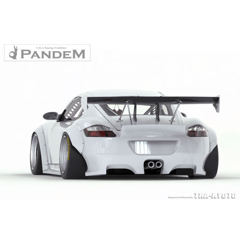 GReddy Pandem RB V2 Side Skirts  | 2009-2012 Porsche Cayman  (17090524)