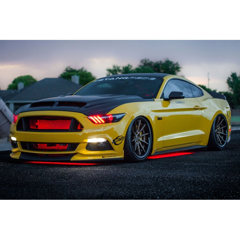 Diode Dynamics RGBW Multicolor Underglow LED Kit | Universal (DD0442)
